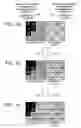 Fig. 08 - Image decoding apparatus and image decoding method