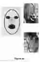 Fig. 09 - Detecting orientation of digital images using face detection information