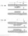Fig. 07 - OPTICAL SEMICONDUCTOR ELEMENT AND METHOD FOR MANUFACTURING THE SAME