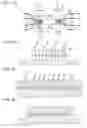 Fig. 09 - OPTICAL SEMICONDUCTOR ELEMENT AND METHOD FOR MANUFACTURING THE SAME