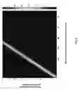 Fig. 06 - Multimode optical fiber