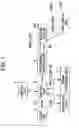 Fig. 02 - APPARATUS, METHOD, AND PROGRAM FOR RECORDING IMAGE