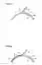 Fig. 04 - Developing device with a thickness regulating member for regulating a thickness of a developer on a developer carrying body and image forming apparatus comprising same