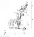 Fig. 06 - Gripper unit for supporting and transporting articles