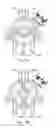 Fig. 06 - Air pump set