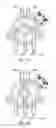 Fig. 07 - Air pump set