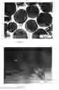 Fig. 04 - CO-SINTERED MULTI-SYSTEM TUNGSTEN ALLOY COMPOSITE