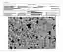 Fig. 03 - PARTICULATE TIN POWER AND MANUFACTURING METHOD THEREOF
