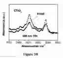Fig. 06 - High surface area ceramic coated fibers