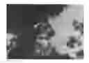 Fig. 01 - Composite oxide