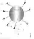 Fig. 02 - NANOPARTICLES FOR TARGETED DELIVERY OF ACTIVE AGENTS TO THE LUNG