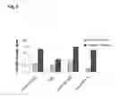 Fig. 08 - NANOPARTICLES FOR TARGETED DELIVERY OF ACTIVE AGENTS TO THE LUNG