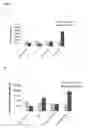 Fig. 09 - NANOPARTICLES FOR TARGETED DELIVERY OF ACTIVE AGENTS TO THE LUNG