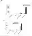 Fig. 10 - NANOPARTICLES FOR TARGETED DELIVERY OF ACTIVE AGENTS TO THE LUNG
