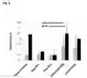 Fig. 13 - NANOPARTICLES FOR TARGETED DELIVERY OF ACTIVE AGENTS TO THE LUNG