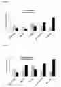 Fig. 14 - NANOPARTICLES FOR TARGETED DELIVERY OF ACTIVE AGENTS TO THE LUNG