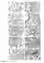 Fig. 17 - NANOPARTICLES FOR TARGETED DELIVERY OF ACTIVE AGENTS TO THE LUNG