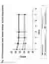 Fig. 21 - NANOPARTICLES FOR TARGETED DELIVERY OF ACTIVE AGENTS TO THE LUNG