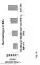 Fig. 26 - NANOPARTICLES FOR TARGETED DELIVERY OF ACTIVE AGENTS TO THE LUNG