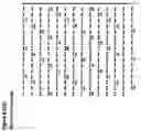 Fig. 07 - Beta 1,4-galactosyltransferases with altered donor and acceptor specificities, compositions and methods of use