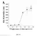 Fig. 02 - METHODS AND COMPOSITIONS INVOLVING CHITOSAN NANOPARTICLES
