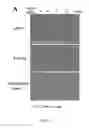 Fig. 07 - METHODS AND COMPOSITIONS INVOLVING CHITOSAN NANOPARTICLES