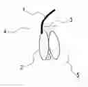 Fig. 01 - Compound