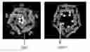 Fig. 01 - Azide modified charge sensitive channel proteins
