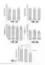 Fig. 06 - METHOD TO IDENTIFY A PATIENT WITH AN INCREASED LIKELIHOOD OF RESPONDING TO AN ANTI-CANCER AGENT