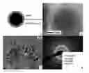 Fig. 01 - ELEMENTAL IRON NANOPARTICLES