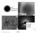 Fig. 03 - ELEMENTAL IRON NANOPARTICLES