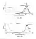 Fig. 06 - IN SITU IMMUNIZATION