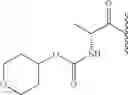 Fig. 428 - Hepatitis C virus inhibitors