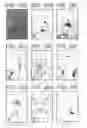 Fig. 41 - Pluripotent embryonic-like stem cells, compositions, methods and uses thereof
