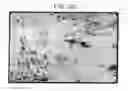 Fig. 44 - Pluripotent embryonic-like stem cells, compositions, methods and uses thereof