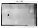 Fig. 46 - Pluripotent embryonic-like stem cells, compositions, methods and uses thereof