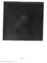 Fig. 69 - Pluripotent embryonic-like stem cells, compositions, methods and uses thereof