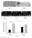 Fig. 05 - Methods and Kits for Enhancing Cell Survival, Stimulating Cell Proliferation, Treating Diabetic Patients, and/or Reinnervation