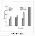 Fig. 08 - Bone substitute compositions, methods of preparation and clinical applications