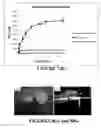 Fig. 09 - Bone substitute compositions, methods of preparation and clinical applications