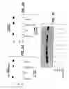 Fig. 07 - ErbB antagonists for pain therapy