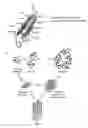Fig. 01 - Stable amyloid beta monomers and oligomers