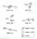Fig. 02 - Targeted immunoconjugates