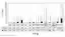 Fig. 07 - Targeted immunoconjugates