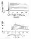 Fig. 24 - Targeted immunoconjugates