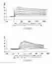 Fig. 28 - Targeted immunoconjugates