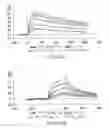 Fig. 32 - Targeted immunoconjugates