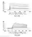Fig. 38 - Targeted immunoconjugates