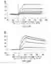Fig. 41 - Targeted immunoconjugates