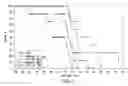 Fig. 65 - Targeted immunoconjugates